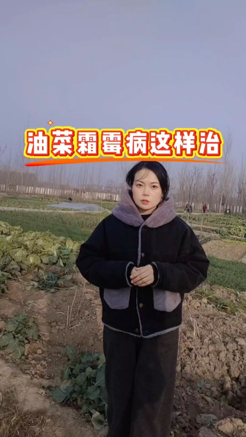 油菜霜霉病这样治