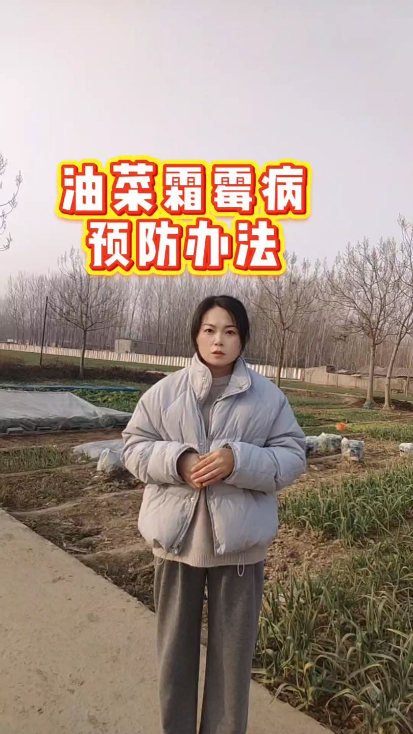 油菜霜霉病预防办法