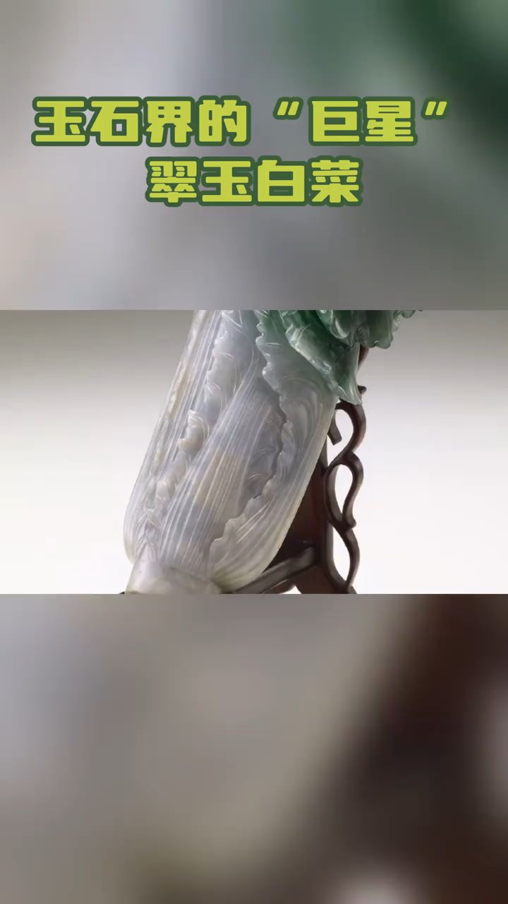 佳士得征集玉白菜“遇百财”