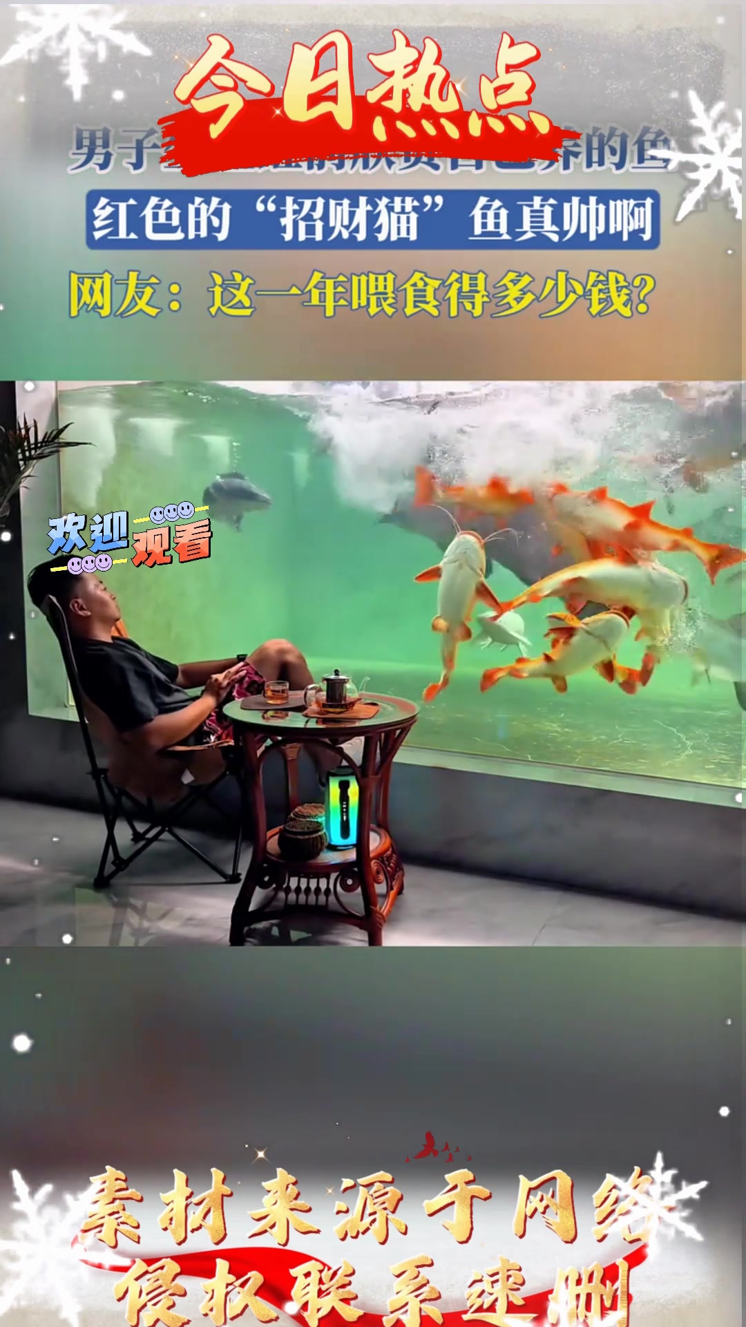 男子坐鱼缸前欣赏自己养的鱼,红色的“招财猫”鱼真帅啊!网友:
