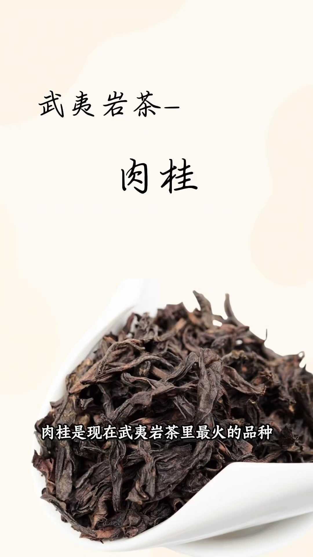 武夷岩茶当家品种肉桂咯