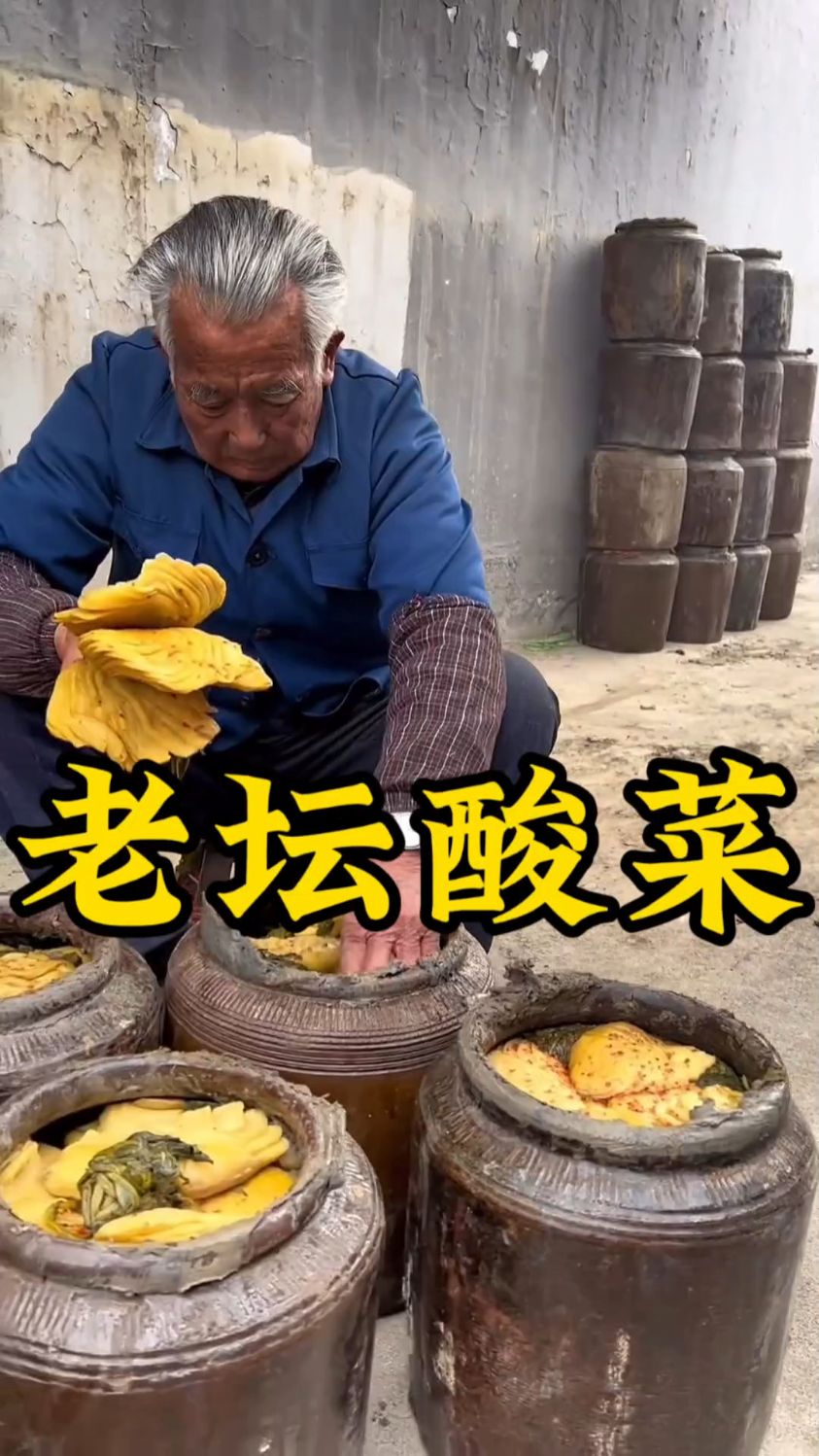 坛子里藏的啥宝贝?原来是下饭神器腌雪菜!