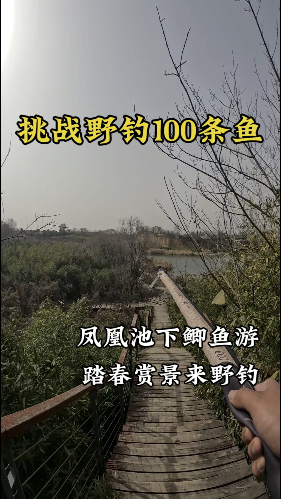 附近的钓友有福了 凤凰大道鞭场钓鱼