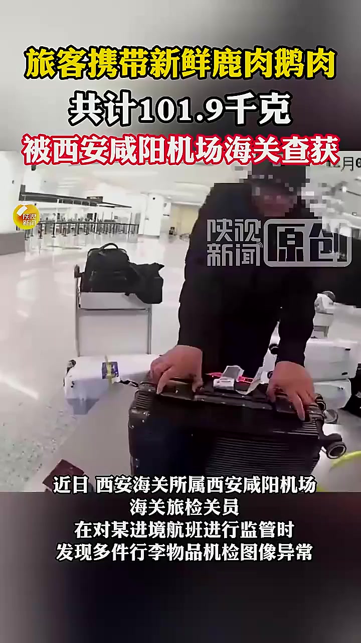 法律解读:旅客携带新鲜鹿肉鹅肉共计101