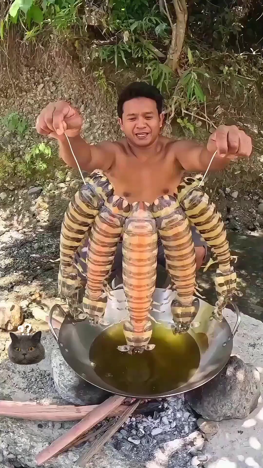 刚抓的巨型皮皮虾,直接下油锅烹饪,大的可以长到一斤