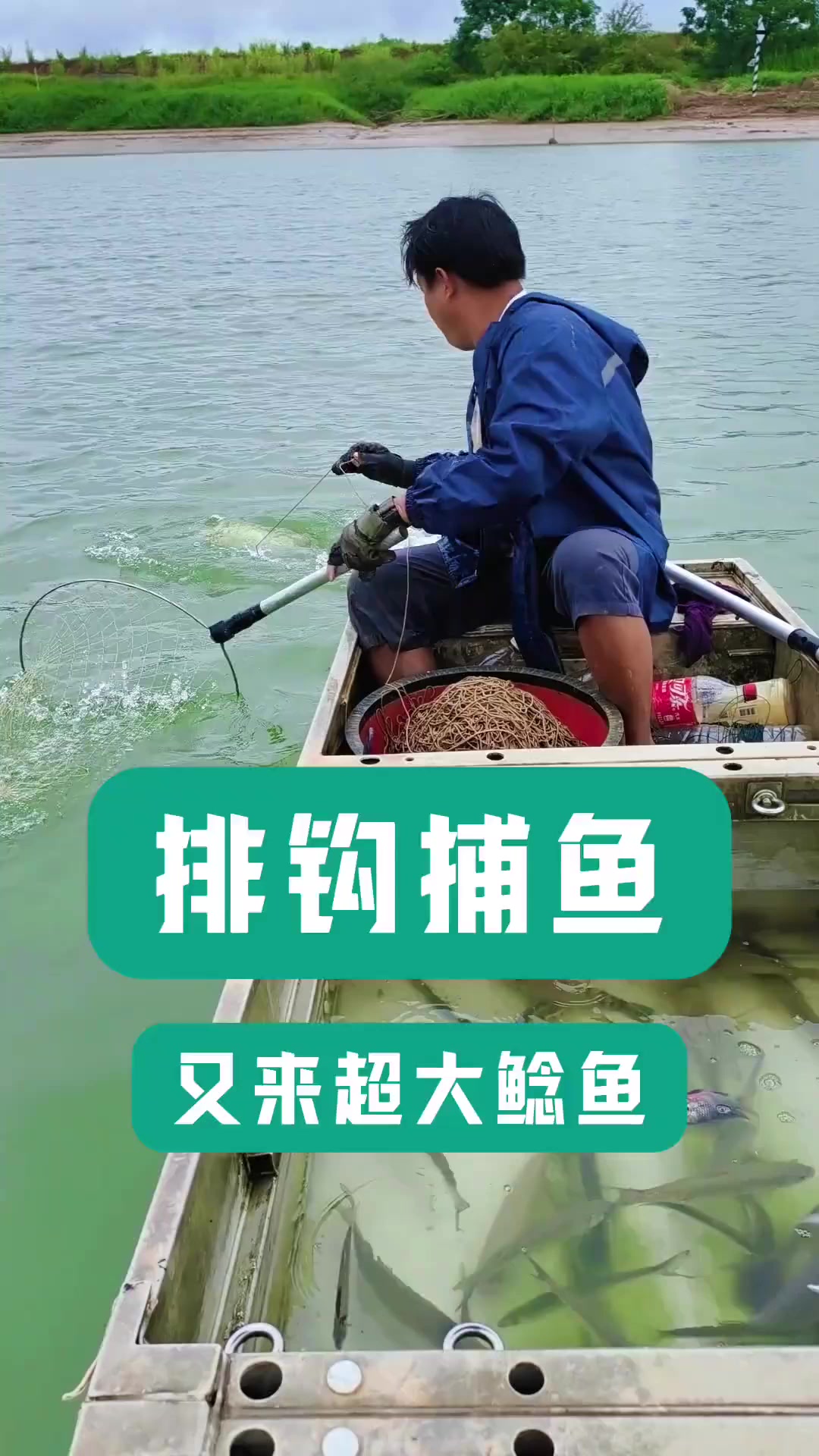 又来条超大鲶鱼