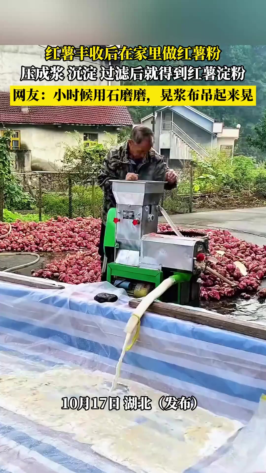 红薯丰收后在家里做红薯粉,压成浆沉淀过滤后就得到红薯淀粉