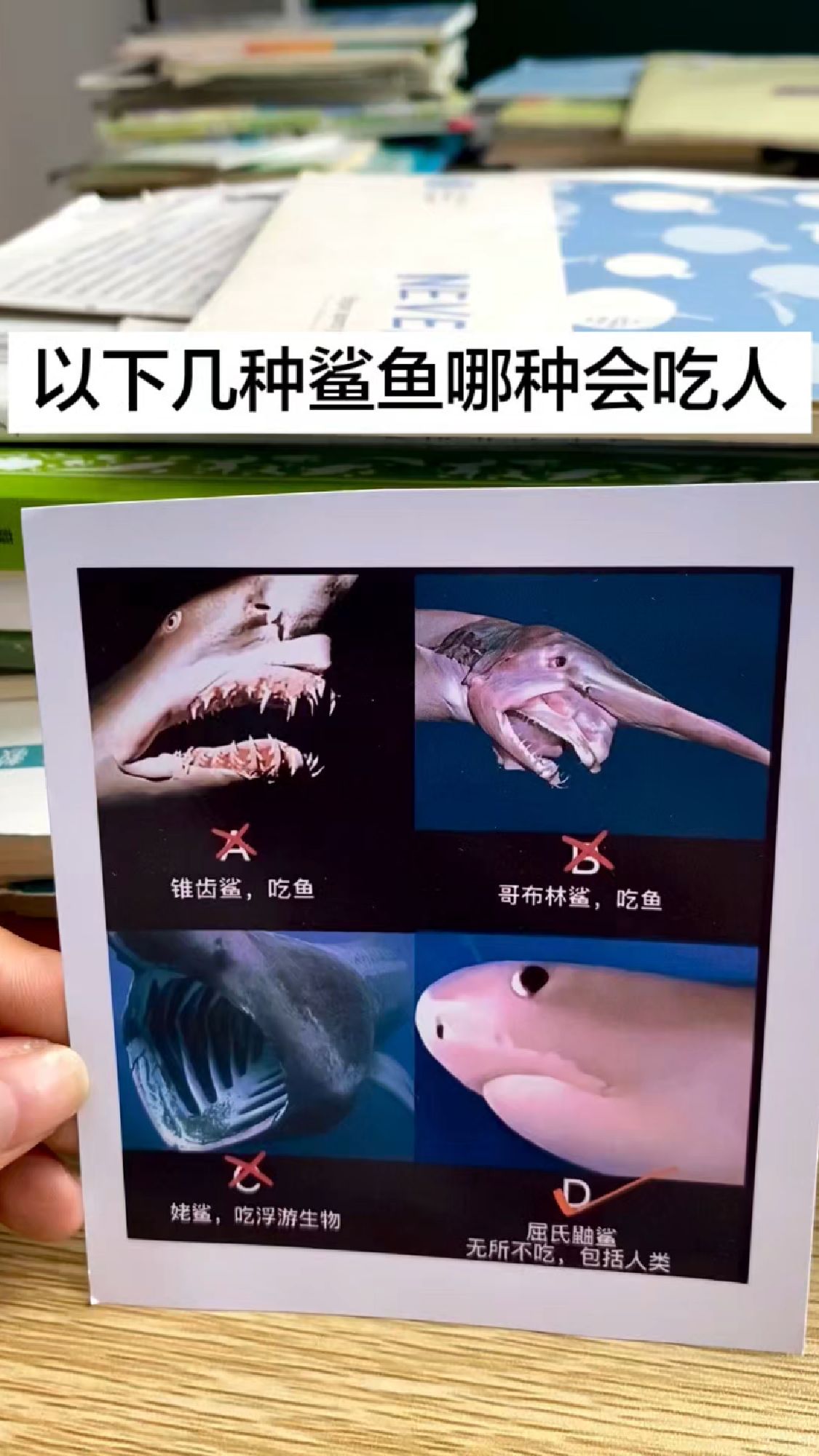 以下几种鲨鱼哪种会吃人