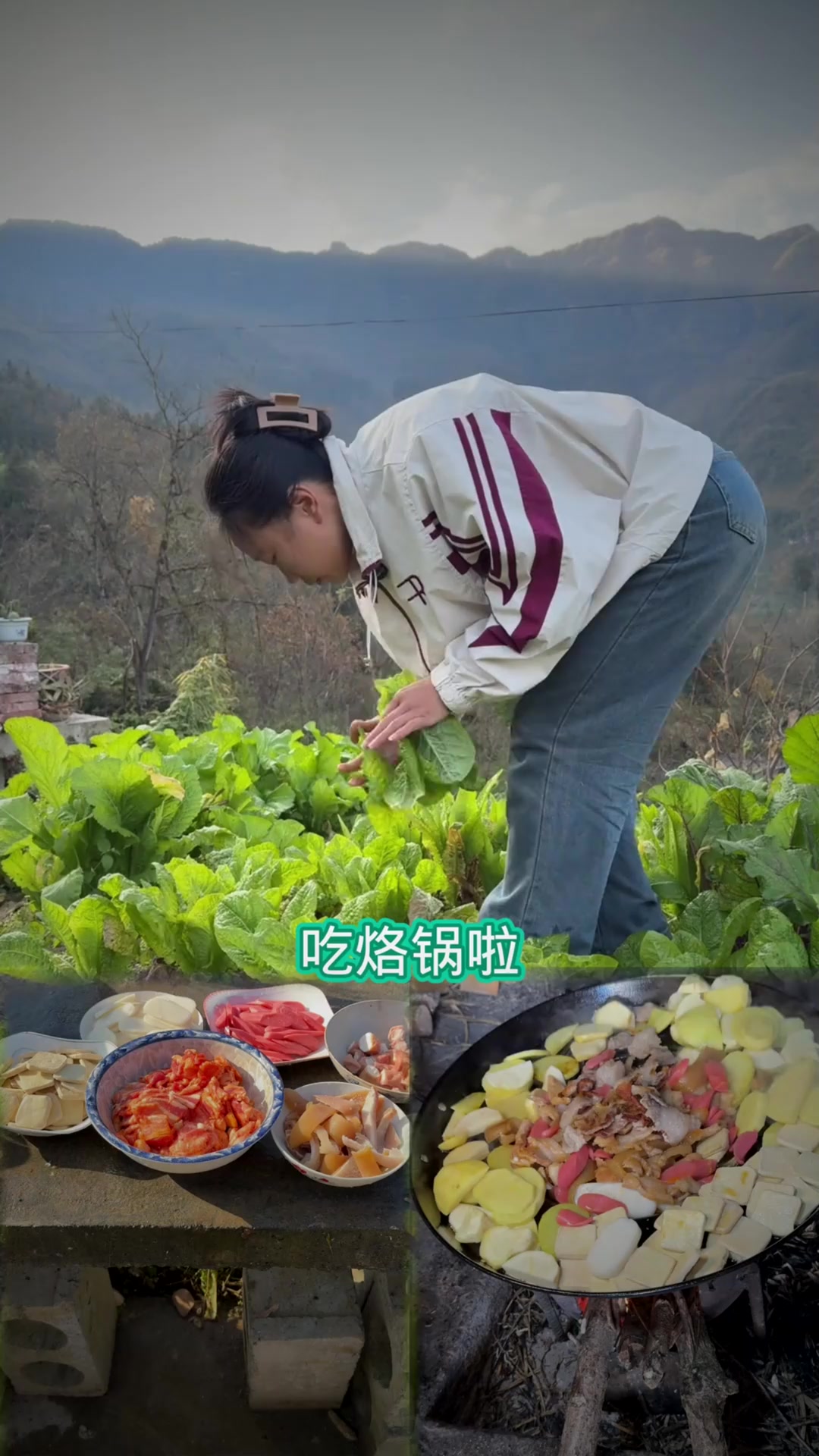 今天把地里面的生菜弄回来做一个烙锅吃