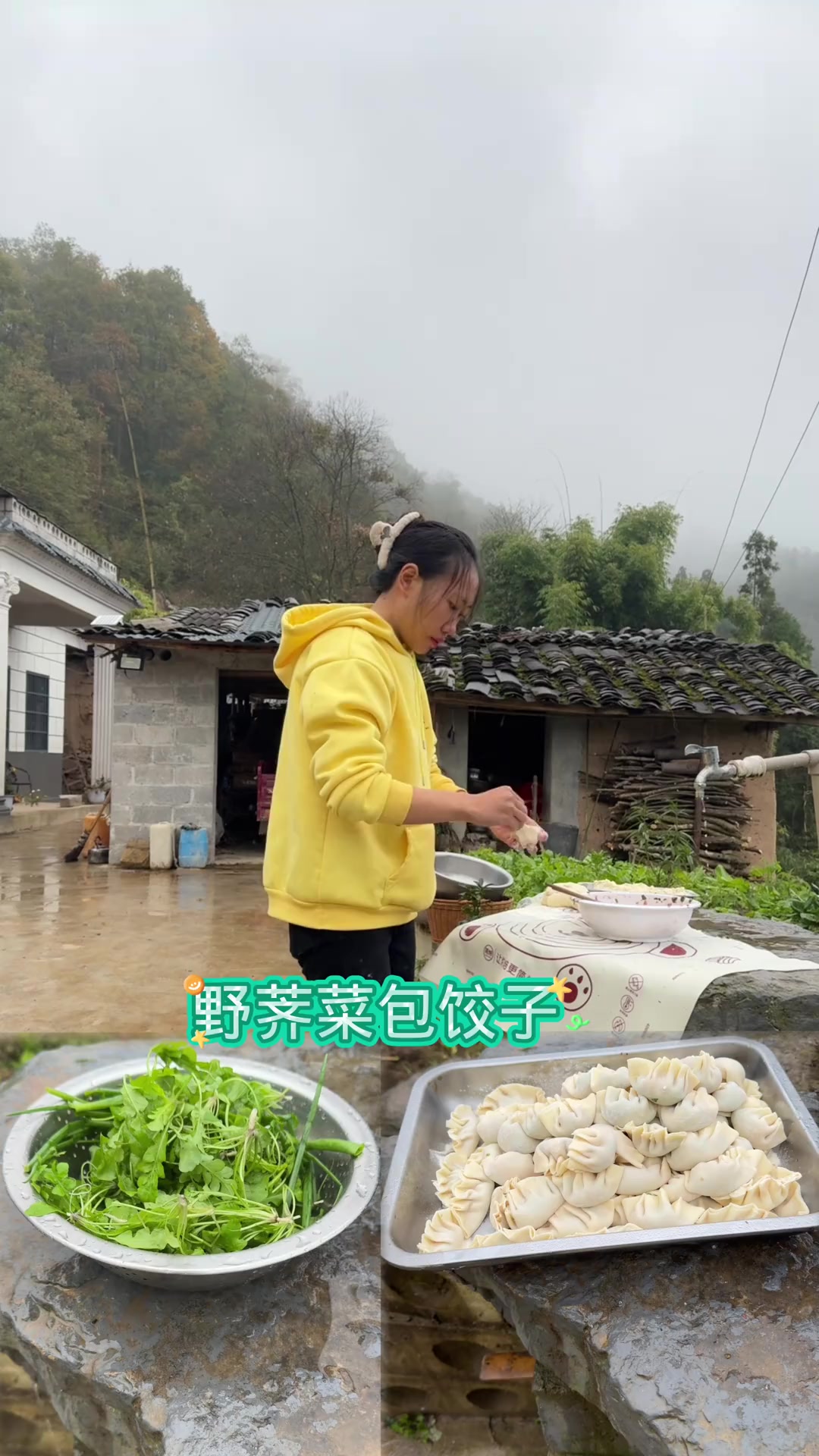 今天弄了一个野菜包饺子作为一个南方人的我是真的不会包饺子