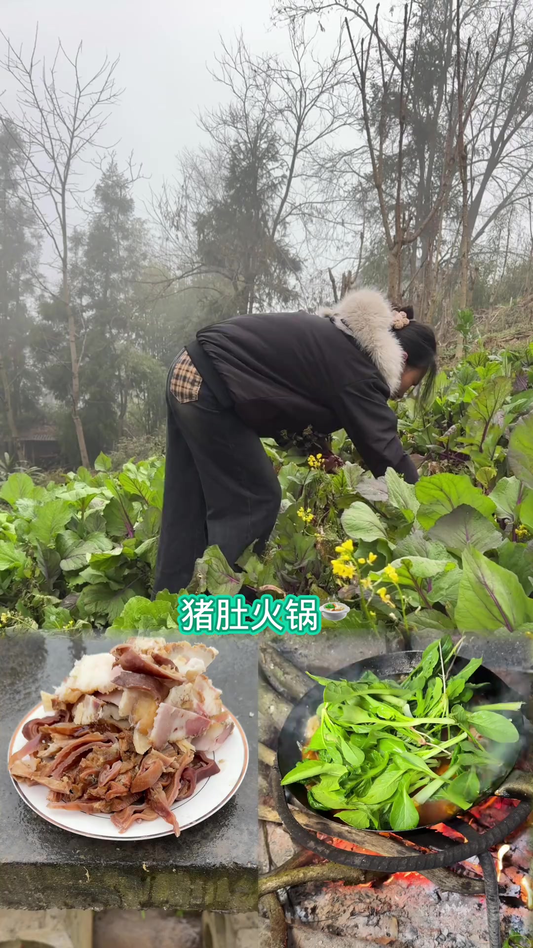 今天做一个猪肚火锅吃