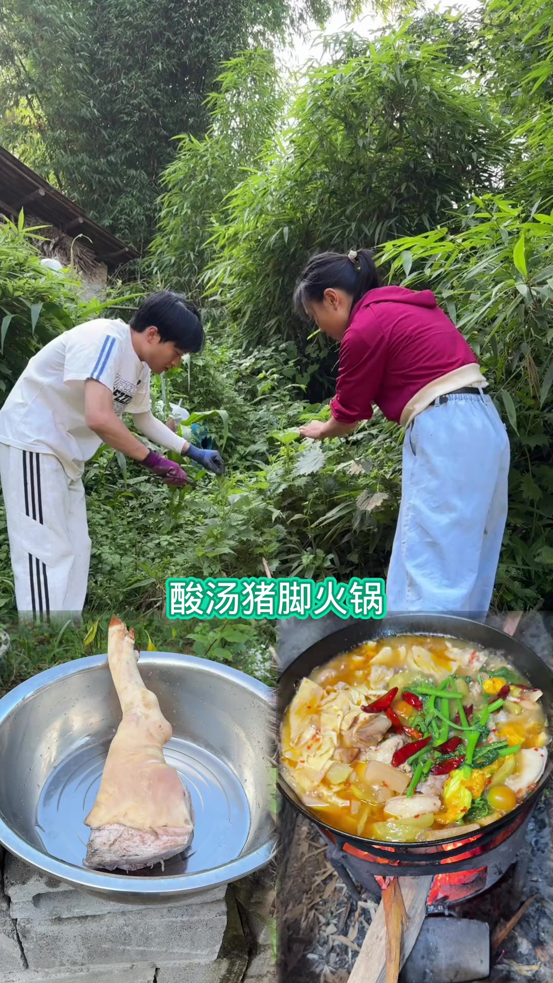 今天做一个酸汤猪脚野菜火锅吃