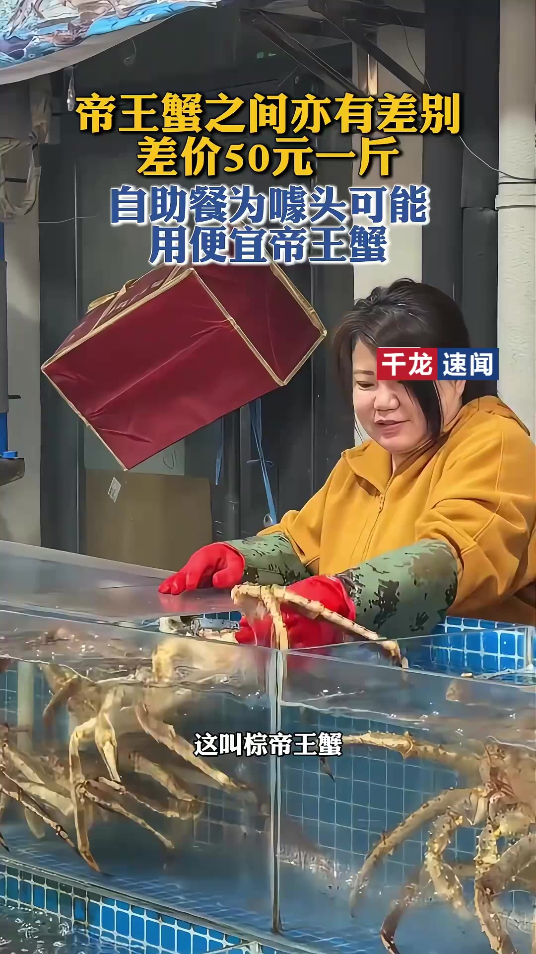 帝王蟹自助餐,帝王蟹之间亦有差别,留心自助餐用便宜蟹