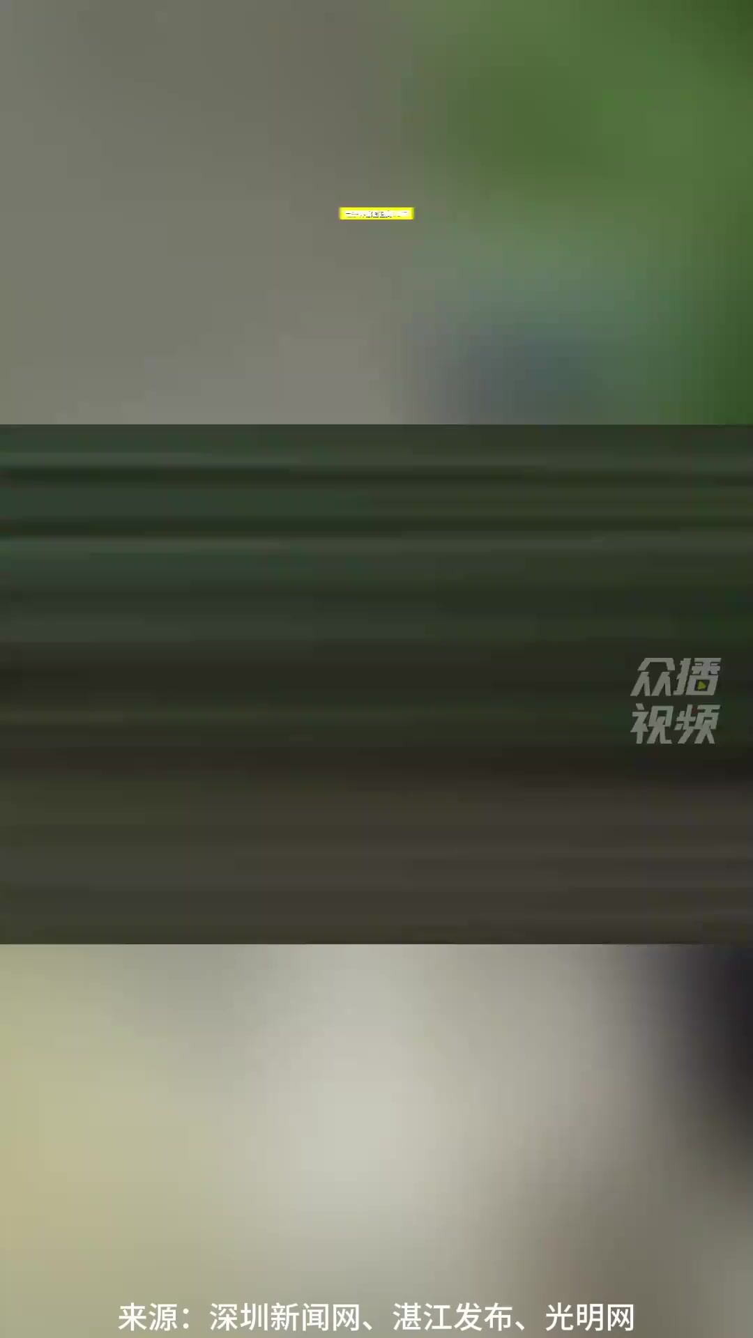 男子种猴面包树18年 2棵达结果要求 果实比非洲原产地还大