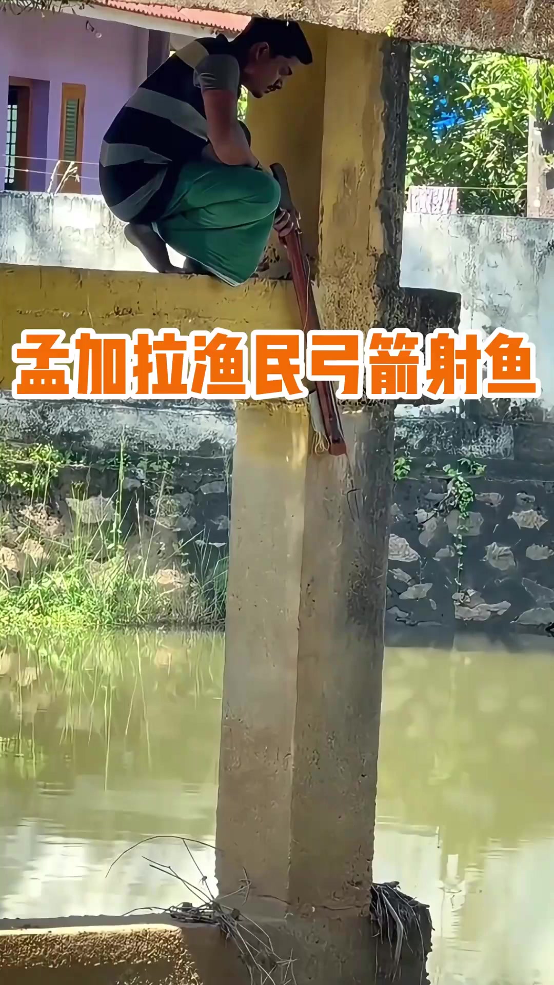 弓箭桥下捕鱼实录，高手耐心蹲守精准出箭，捕获大蛇头鱼！