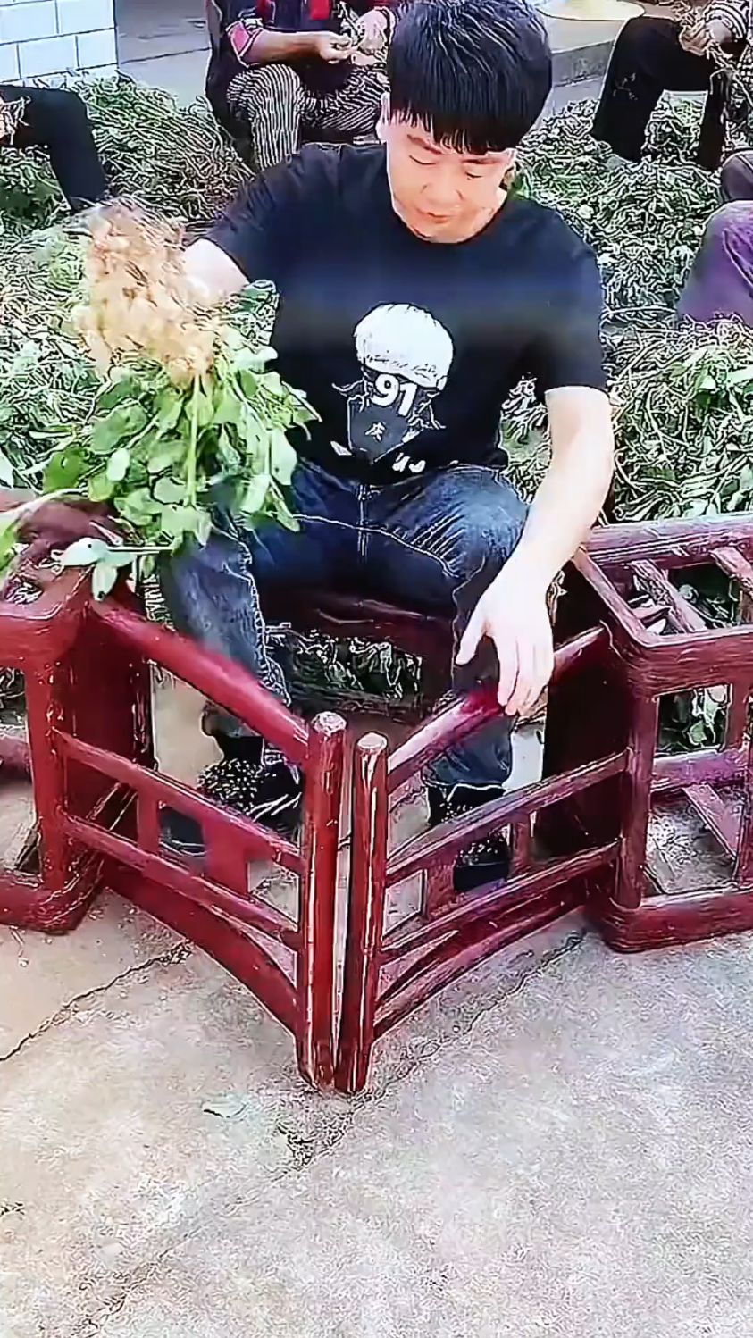 农人自制摘花生神器