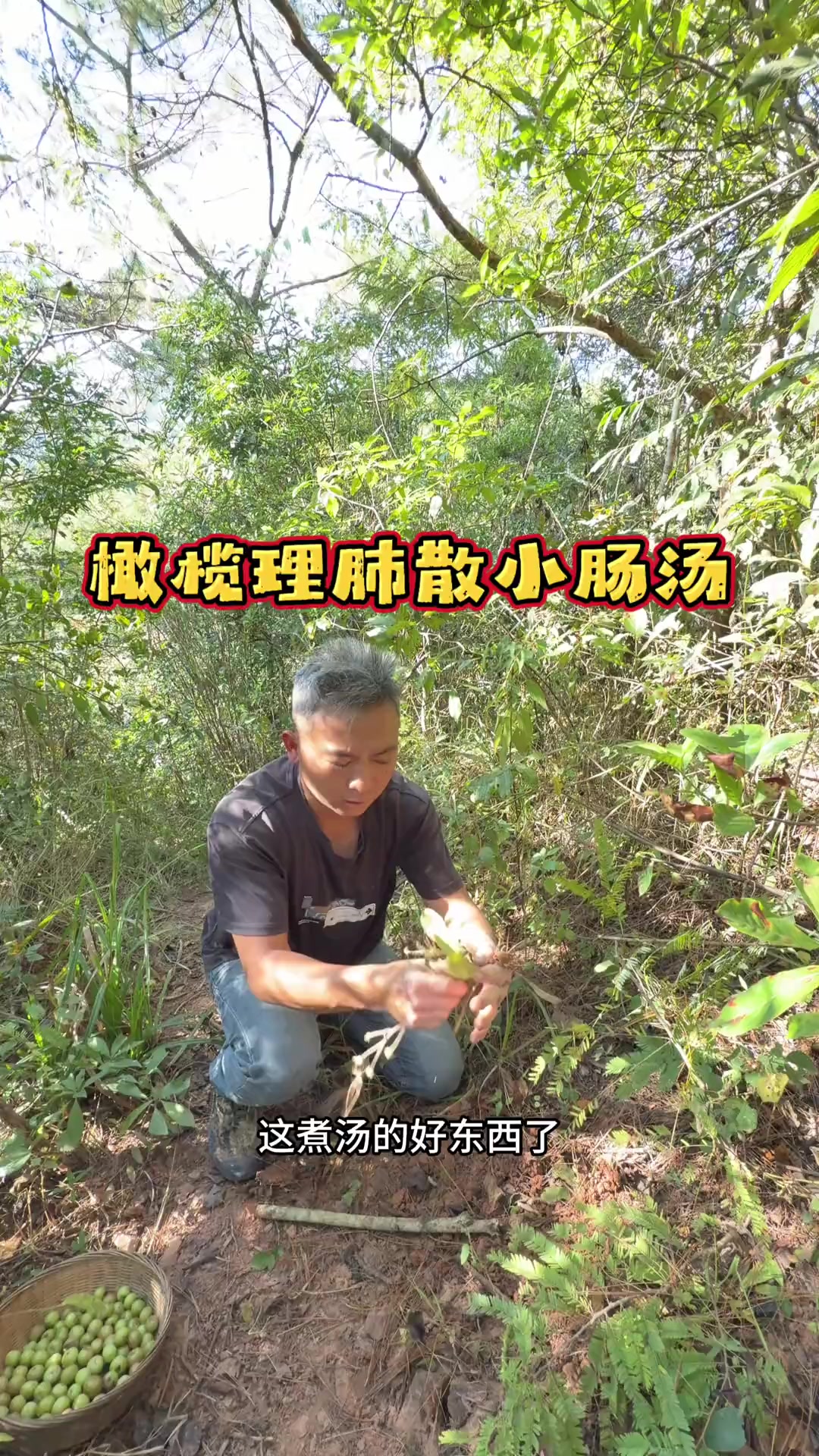 橄榄果理肺散小肠汤! 大鱼大肉吃腻了,今天吃点草根野果煮的小肠汤,农村的味道!