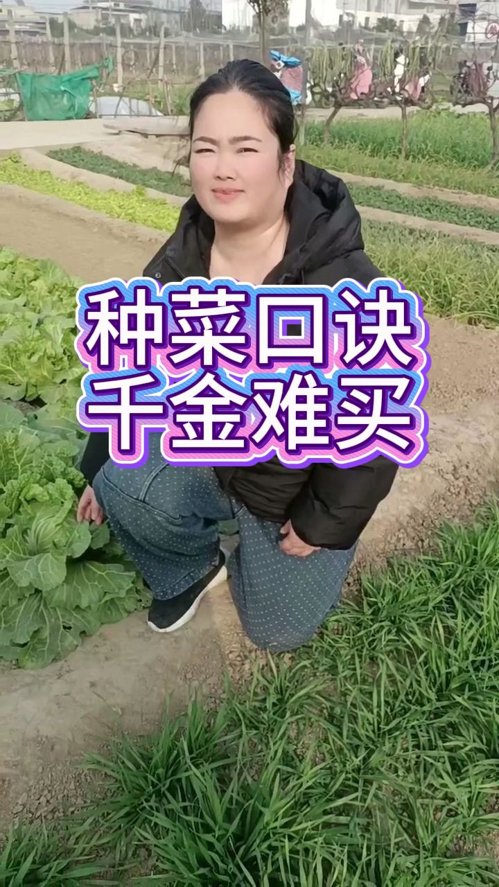 种菜口诀，快来看看吧