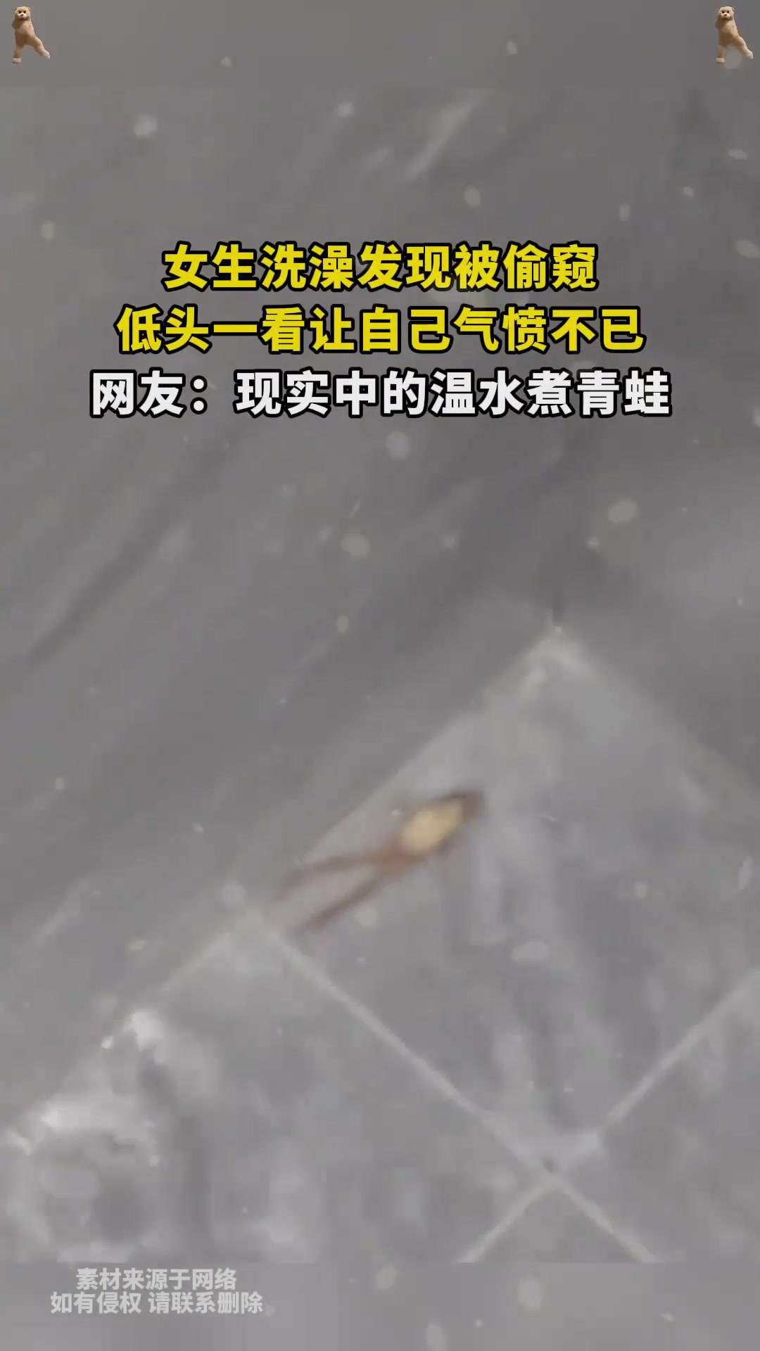 女生洗澡发现被偷窥,低头一看让自己气愤不已,网友:现实中的温水煮青蛙