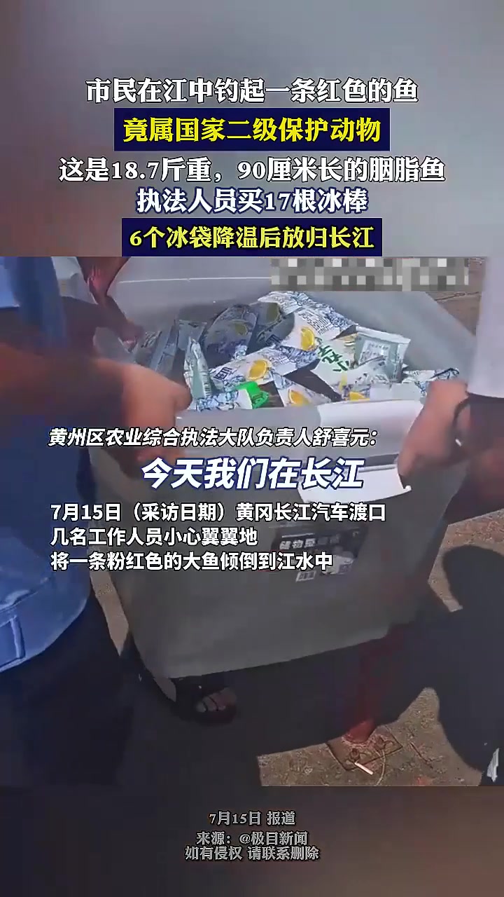 市民在江中钓起一条红色的鱼，竟属国家二级保护动物
