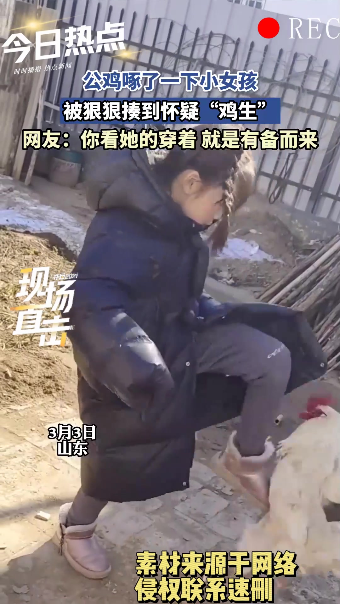 公鸡啄了女孩,被揍到怀疑“鸡生”:你看她的穿着,就是有备而来