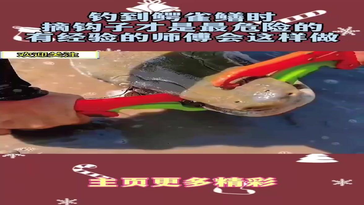 钓到鳄雀鳝时，摘钩子才是最危险的，有经验的师傅会这样做！