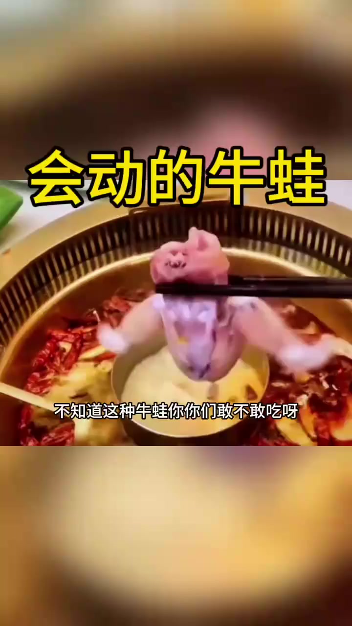 会动的牛蛙，这也太牛了