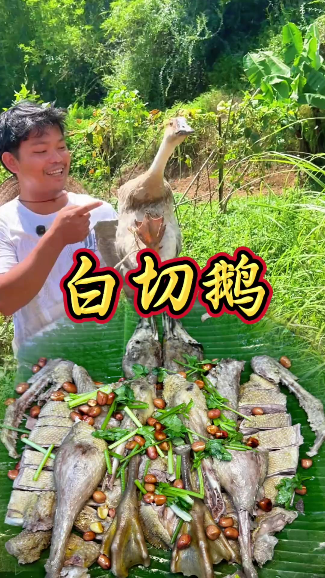 在广西万物皆可白切  广西特色美食 白切鹅！肉质鲜美爽口