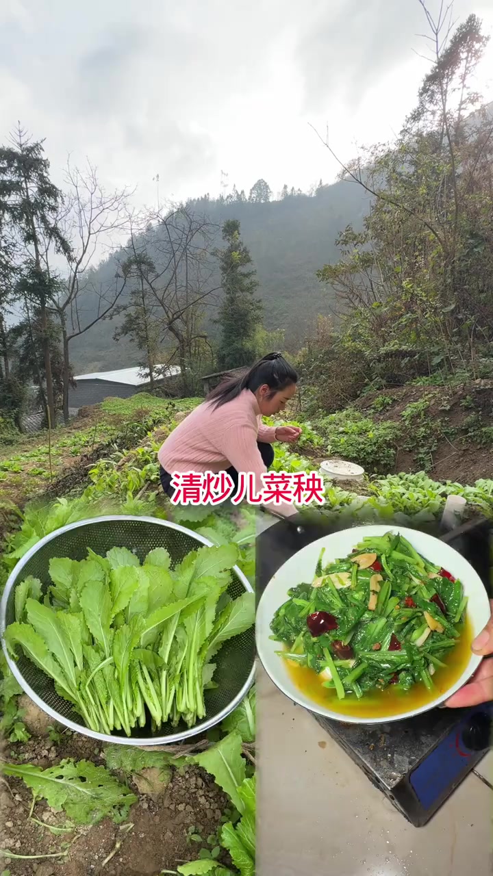 今天吃得清淡，清炒儿菜秧