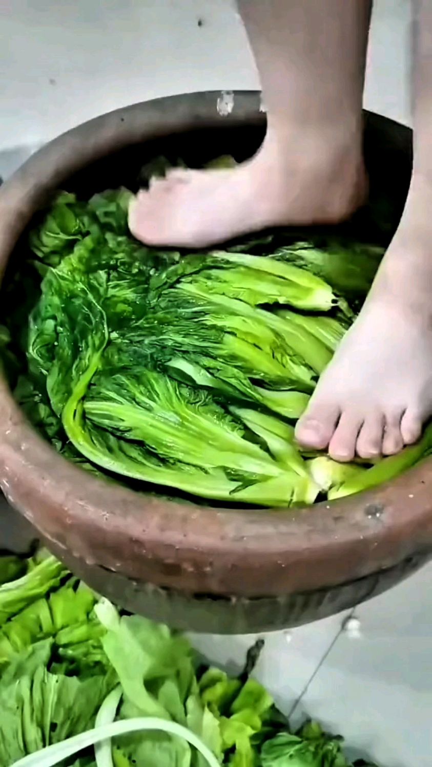农人在家自己腌制青菜
