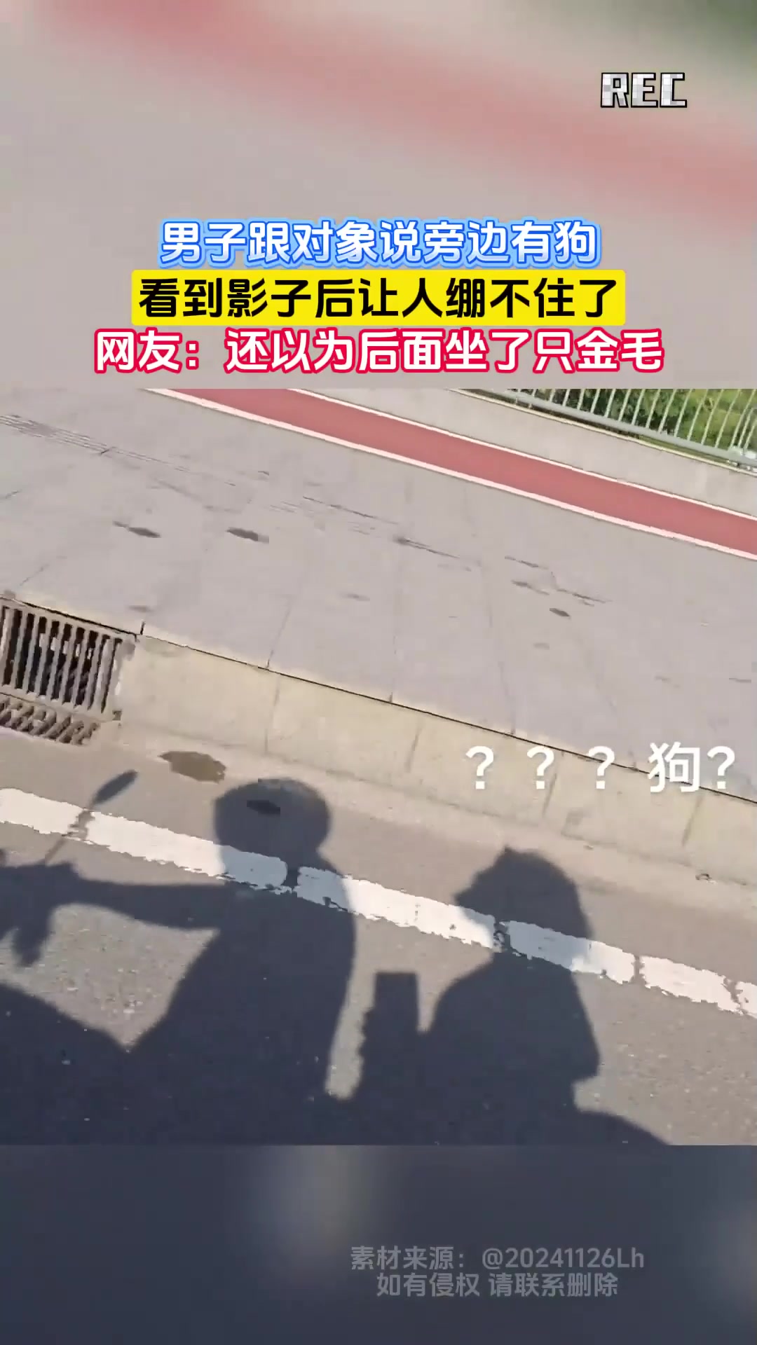 男子跟对象说旁边有狗,看到影子后让人绷不住了