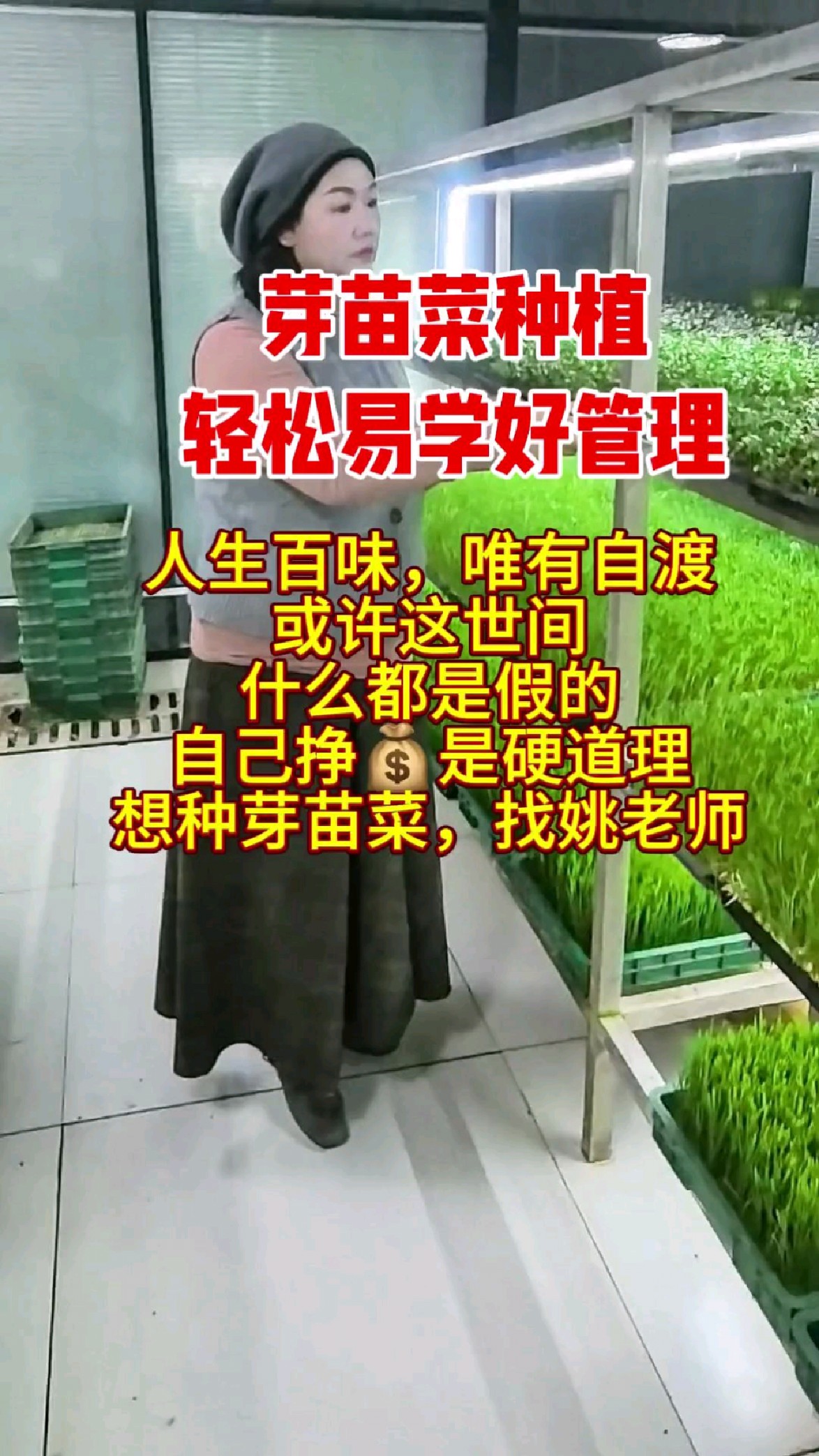 芽苗菜种植轻松易学好