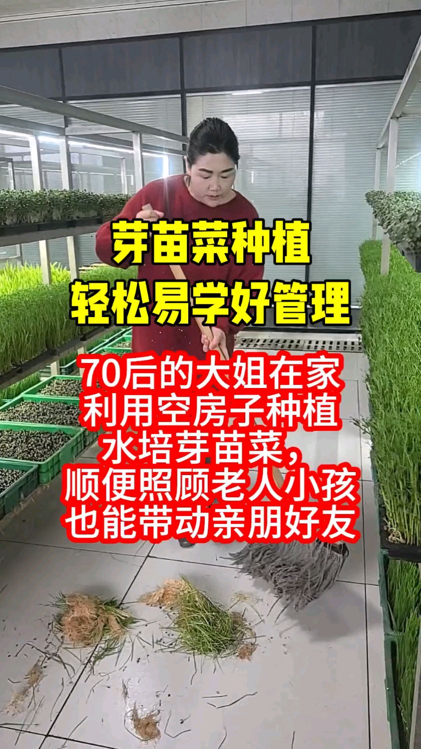 芽苗菜种植轻松易学好管理