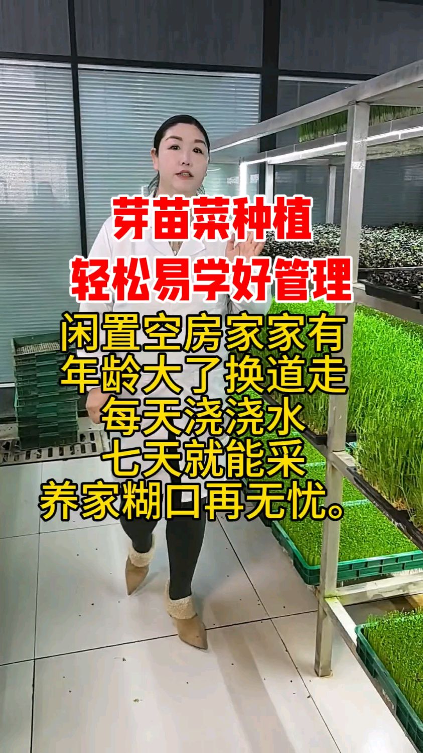 芽苗菜种植轻松易学好管理