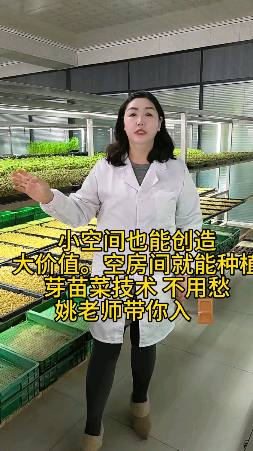 芽苗菜种植轻松易学好管理
