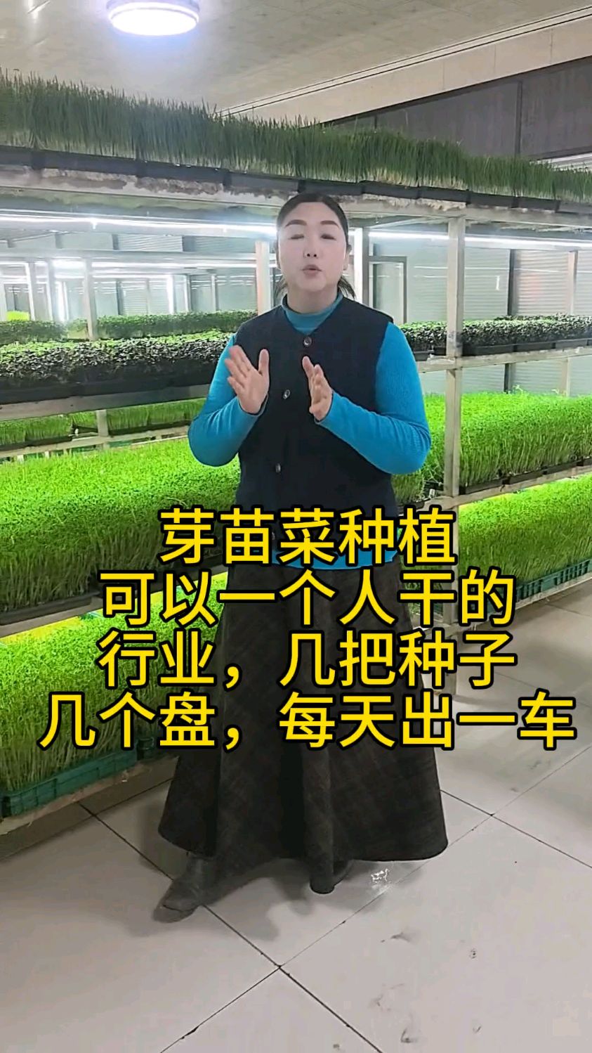 芽苗菜种植轻松易学好管理