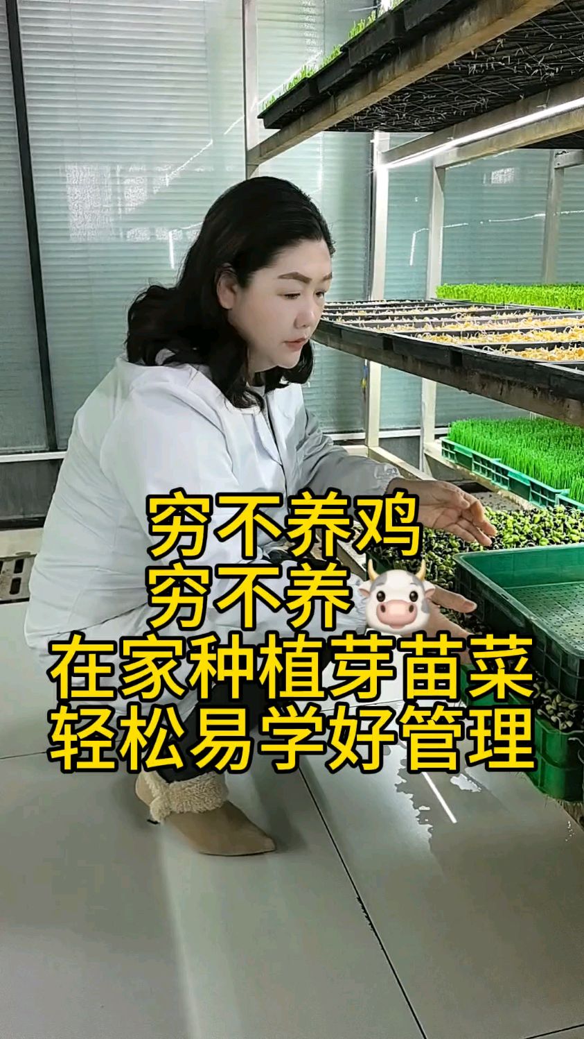 芽苗菜种植轻松易学好管理