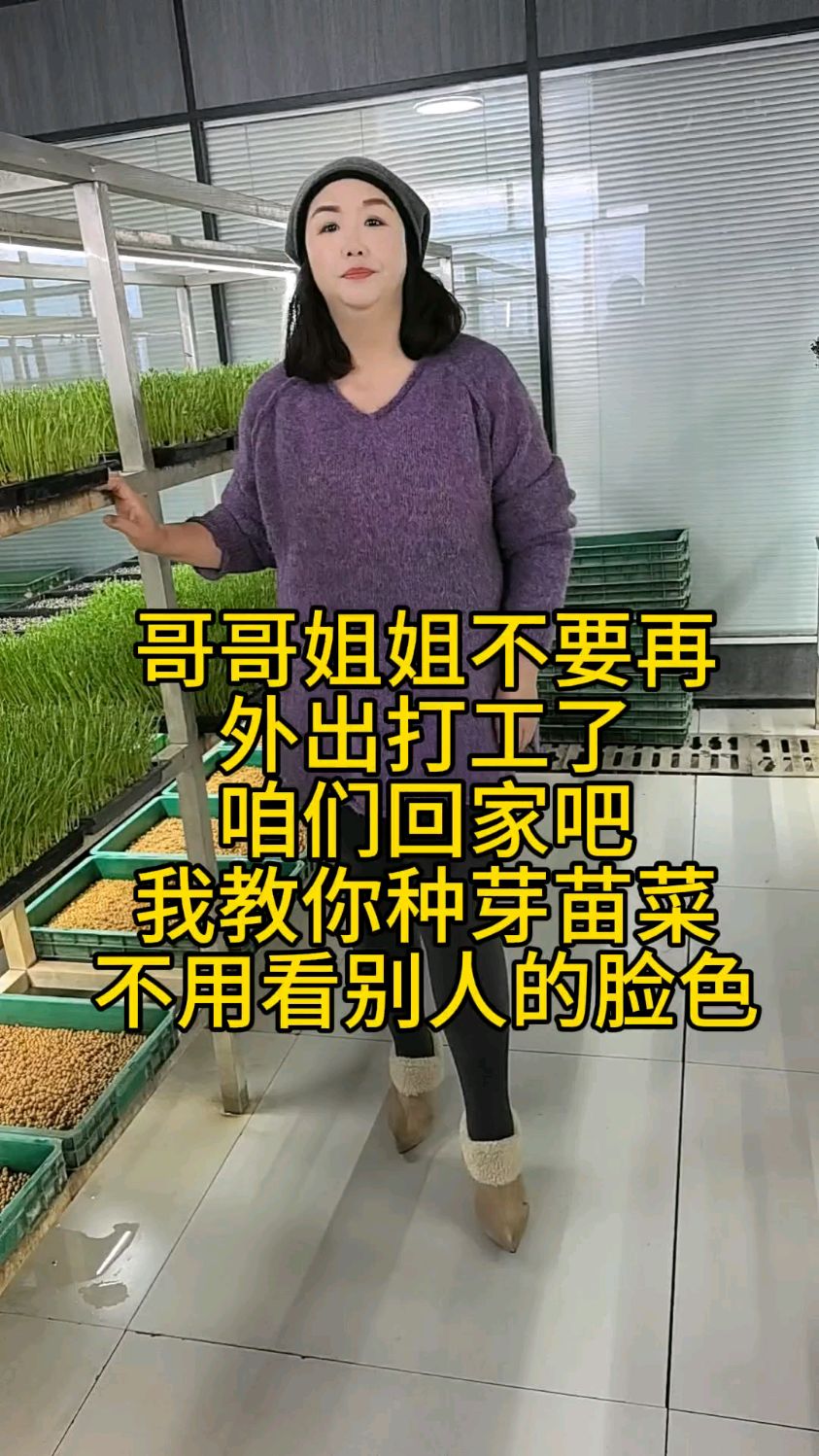 芽苗菜种植轻松易学好管理