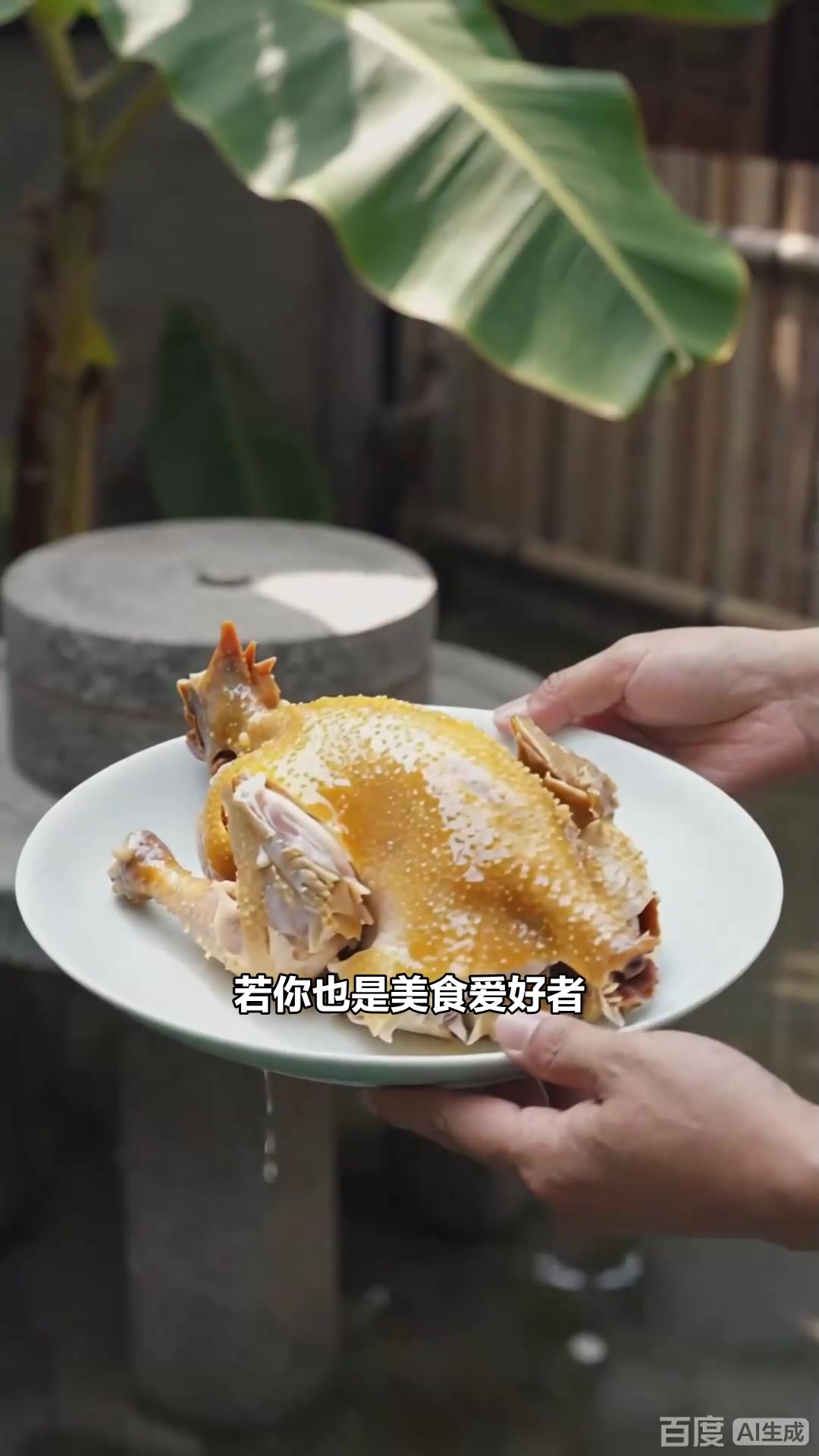 封开杏花鸡：鸡味浓郁，肉质鲜嫩封开名菜_4