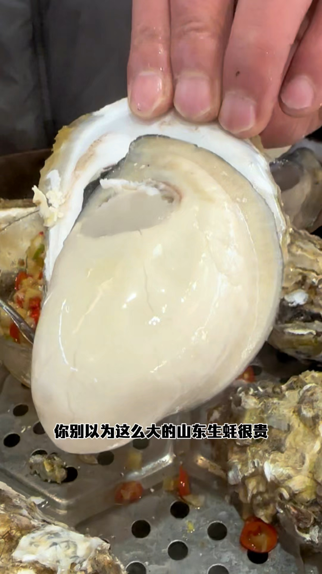 山东大生蚝便宜啦,都跟大馒头一样