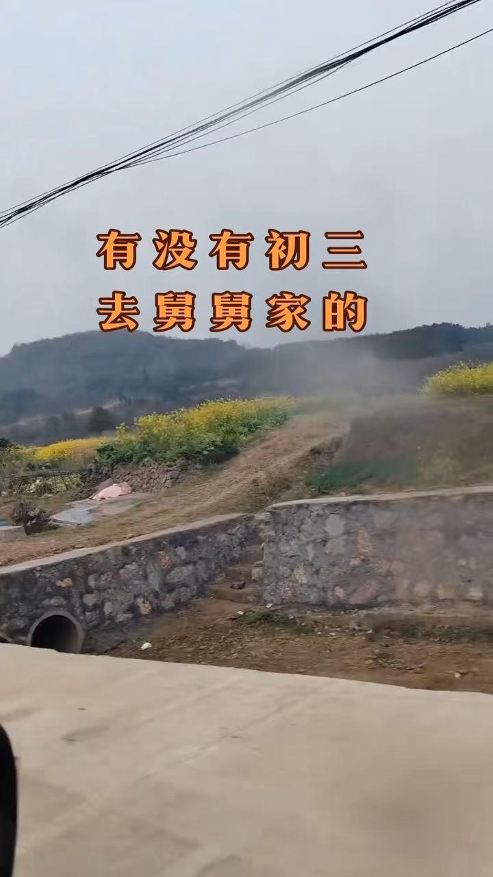 正月出门拜年去。