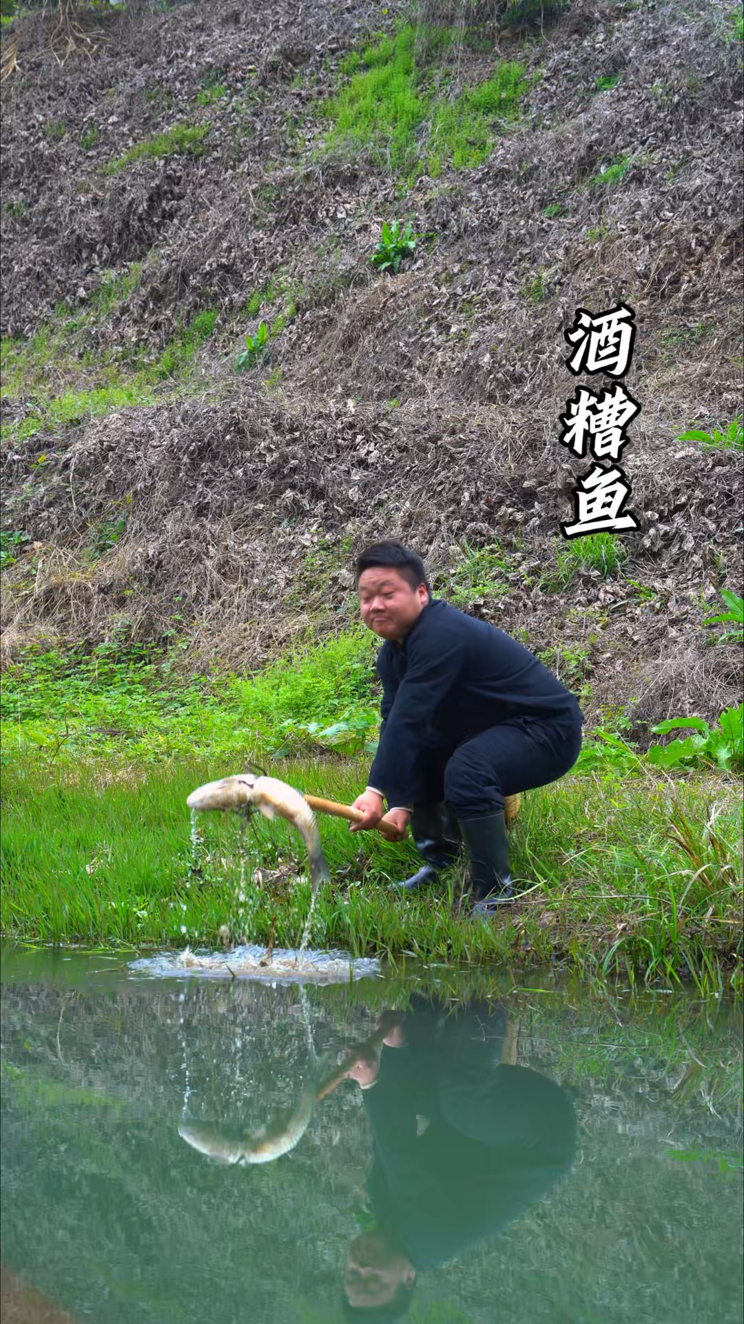 江西的酒糟鱼制作全过程