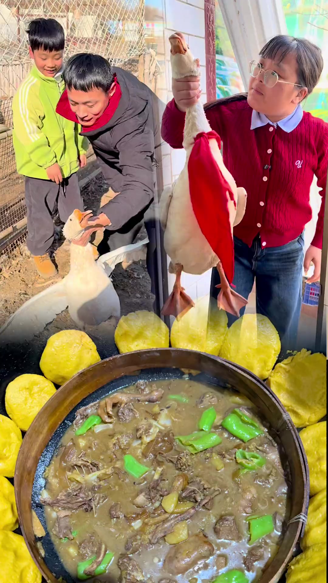 今天做的铁锅炖大鹅太香了
