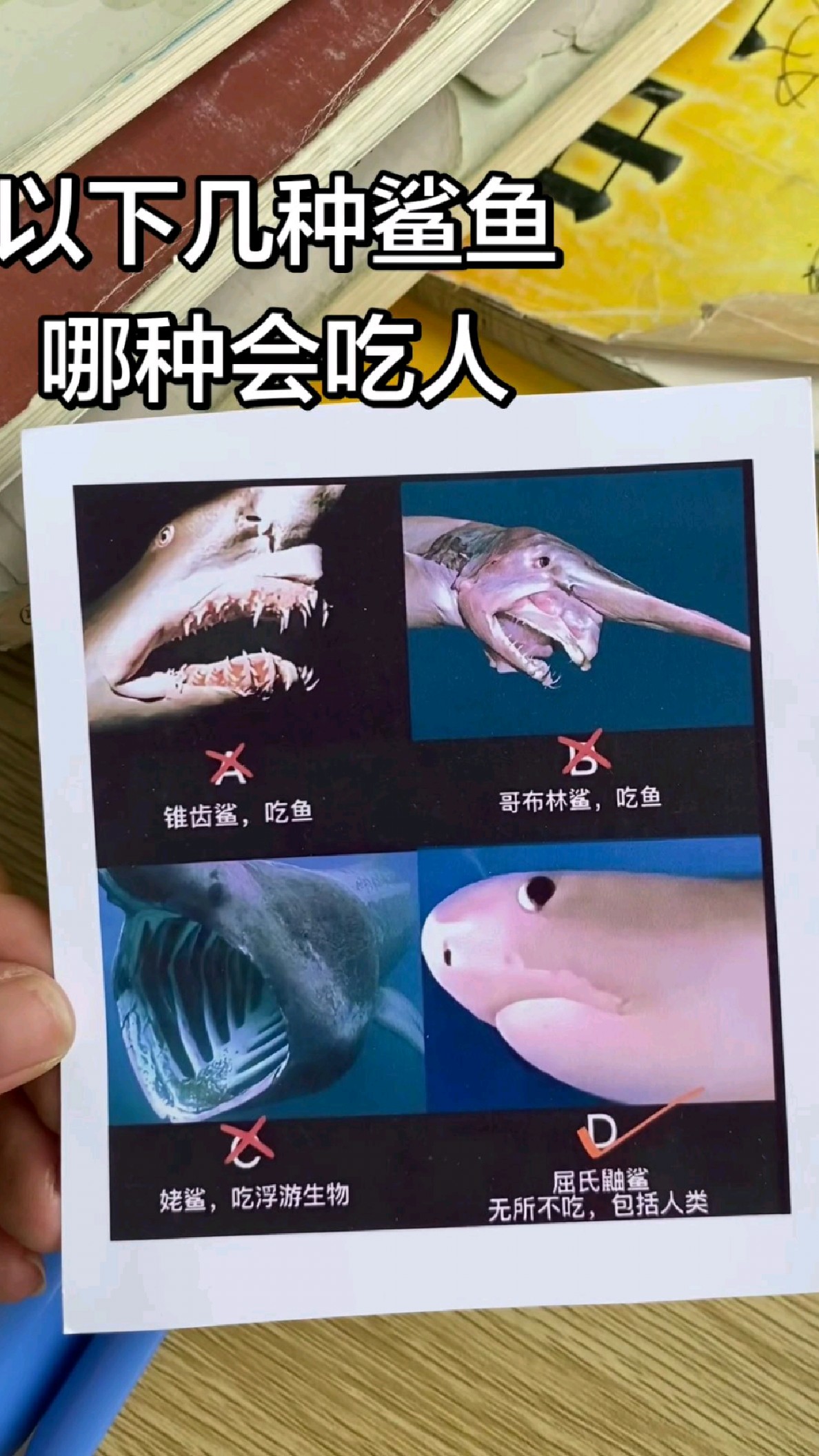以下几种鲨鱼哪种会吃人