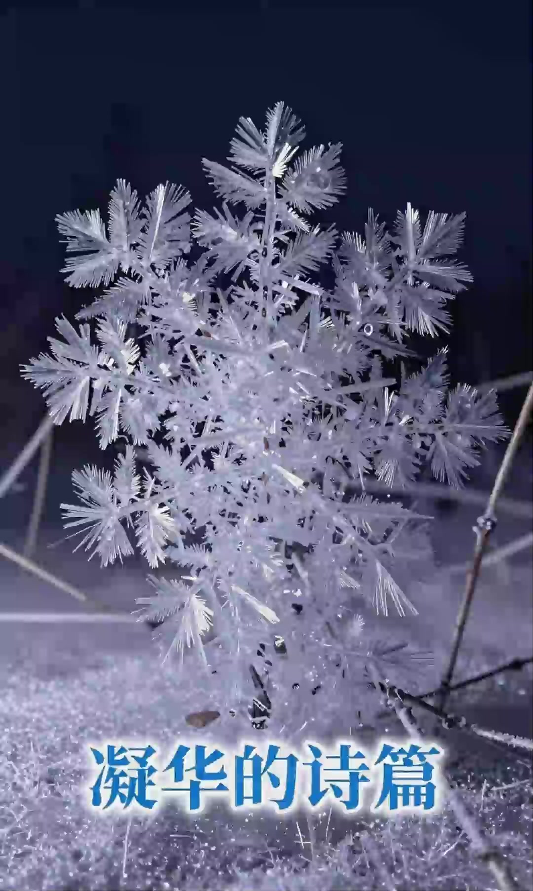 神奇的凝华现象：水蒸气直接变冰晶！