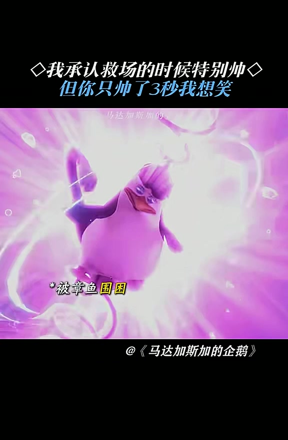 帅不过3秒，马达加斯加的企鹅