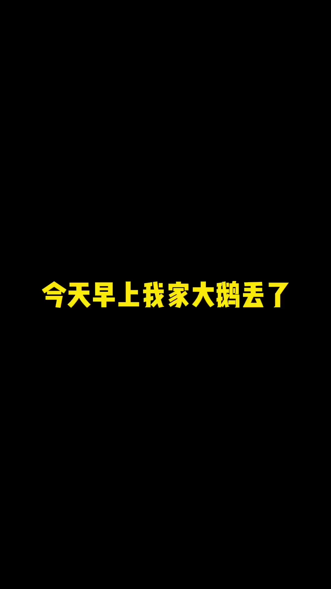 家人们！村东头第三家老梁家！丢四只大鹅！三只母鹅！一只公鹅！