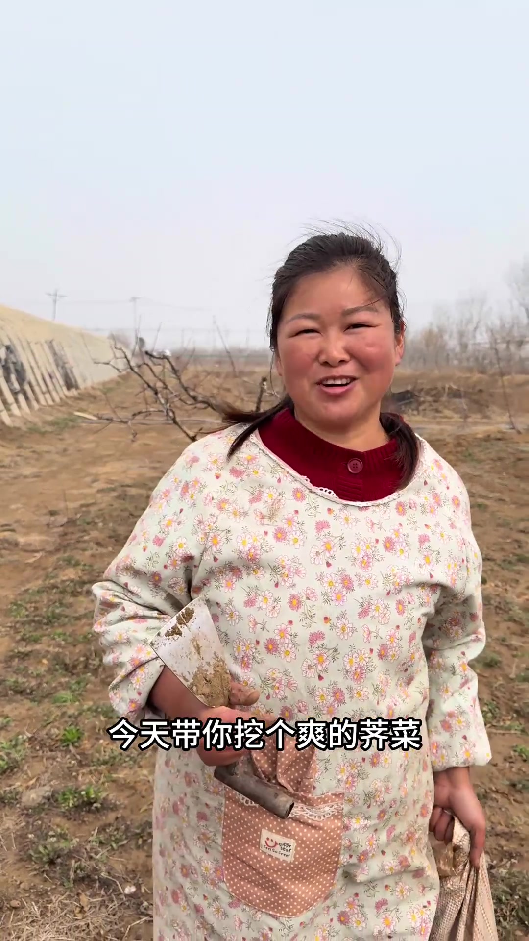 挖荠菜超级解压