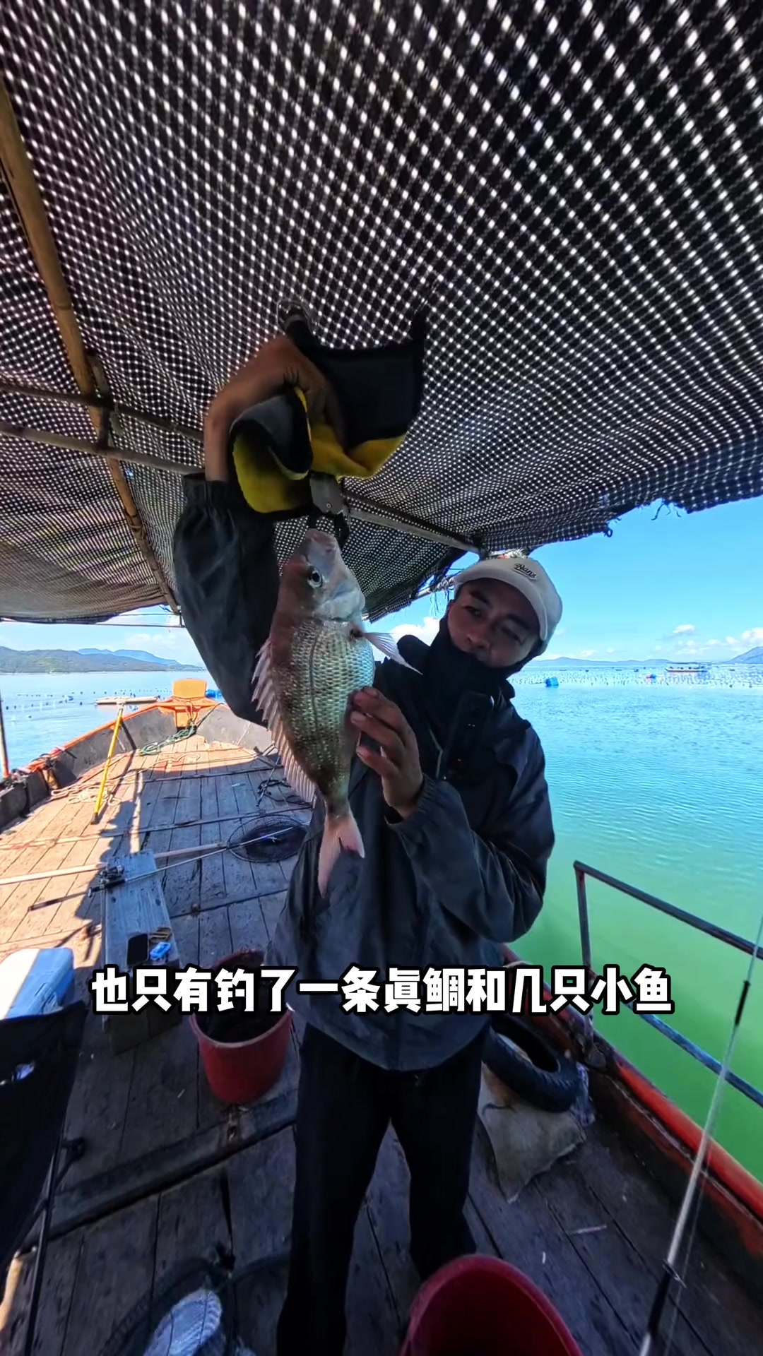 最美非常迷恋黄脚腊!全宁德唯一个能带回家吃的鱼!