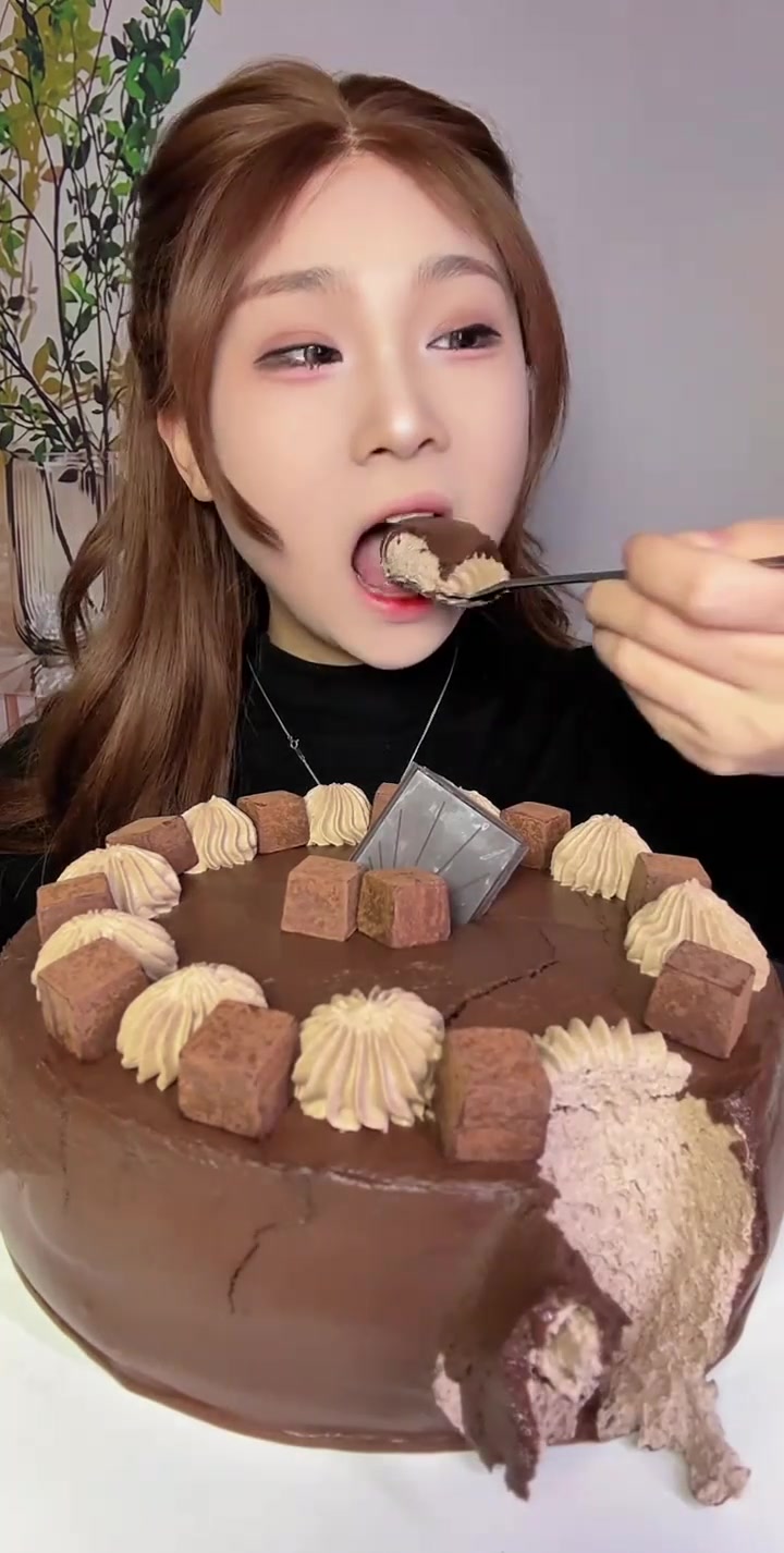 巧克力无胚奶油蛋糕 ~
